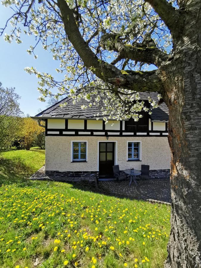 Ferienwohnung "Am Saalehaken" Gossitz Exterior foto
